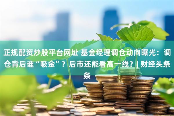 正规配资炒股平台网址 基金经理调仓动向曝光：调仓背后谁“吸金”？后市还能看高一线？| 财经头条