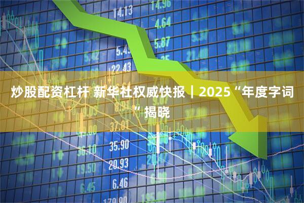 炒股配资杠杆 新华社权威快报｜2025“年度字词”揭晓