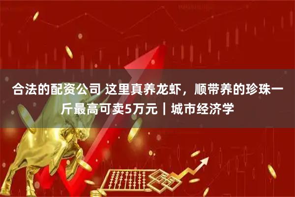 合法的配资公司 这里真养龙虾，顺带养的珍珠一斤最高可卖5万元｜城市经济学